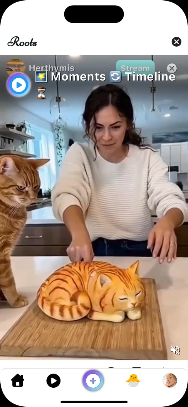 Generational Feed